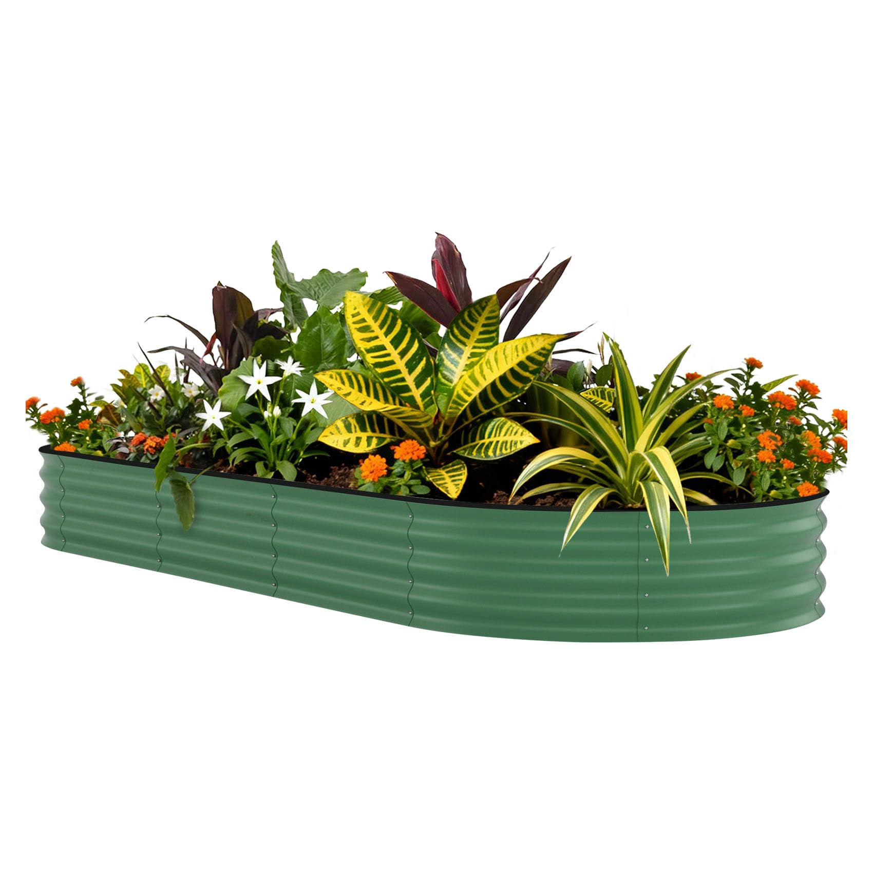 แปลงปลูกผักยกพื้นชุบสังกะสี ขน - Raised Garden Bed บทวิจารณ์และราคา