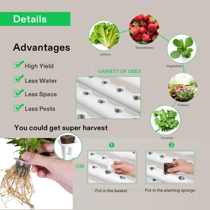 ระบบปลูกพืชแบบไฮโดรโปนิกส์แนวต - Hydroponic Kit บทวิจารณ์และราคา