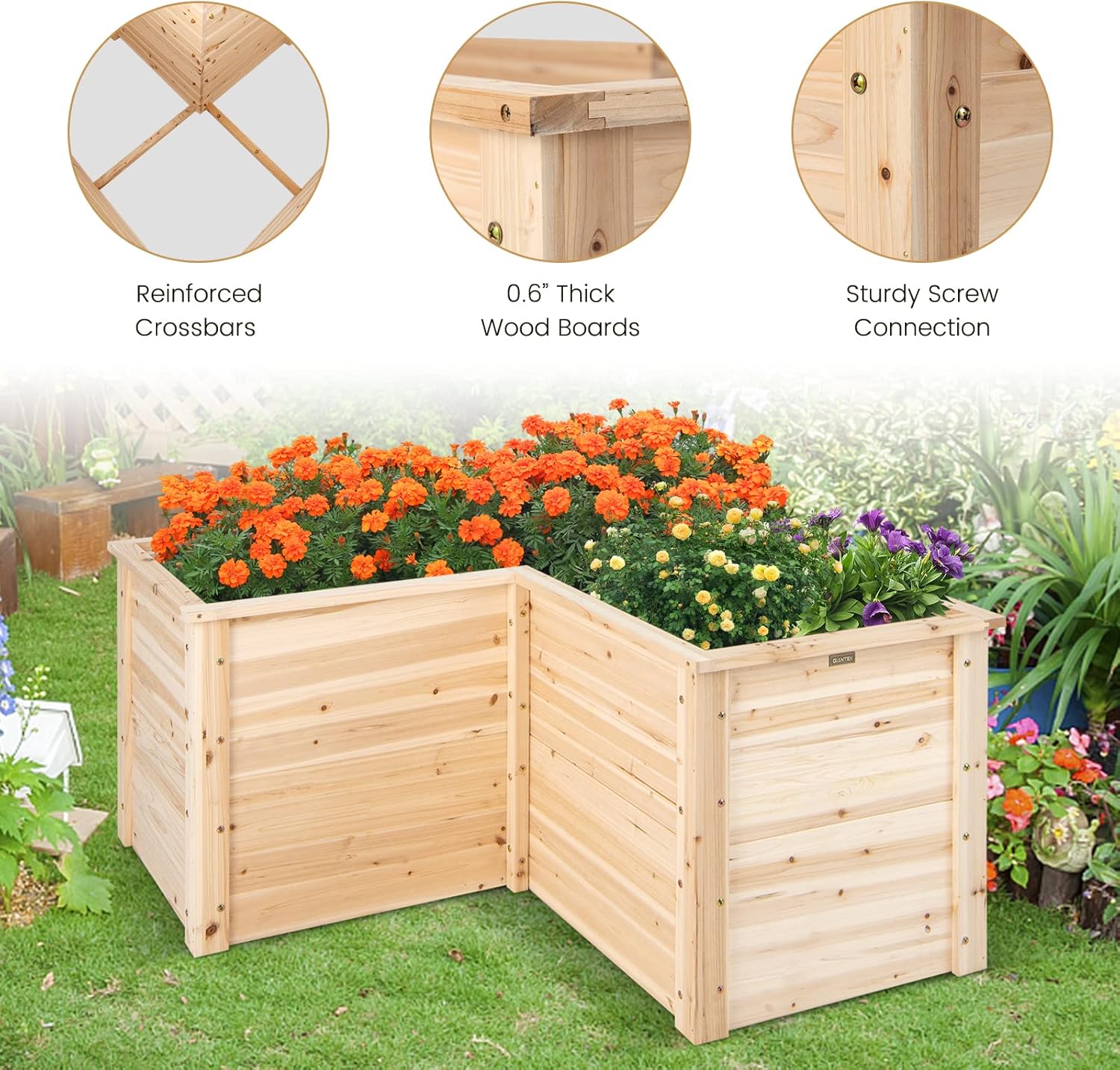แปลงปลูกผักยกพื้นไม้เนื้อแข็งส - Raised Garden Bed บทวิจารณ์และราคา