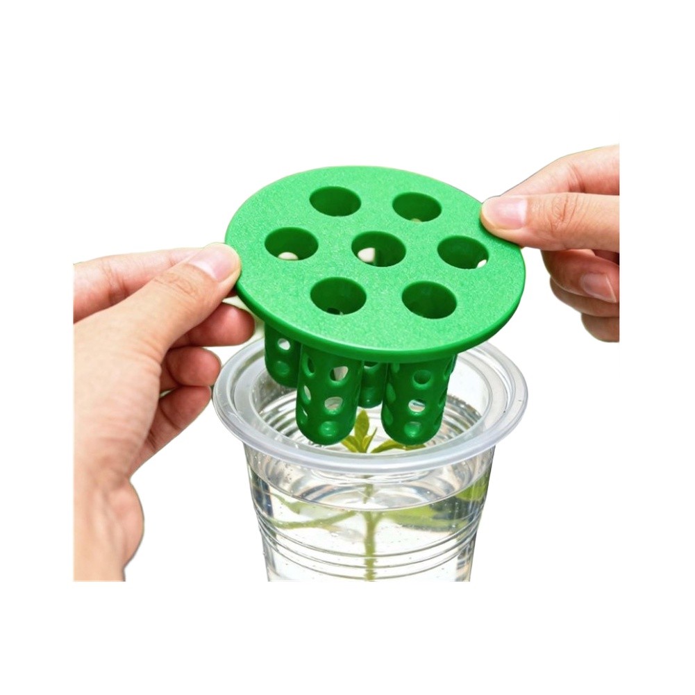 ชุดปลูกต้นหอม 4 ชิ้น: ภาชนะปลู - Hydroponic Kit บทวิจารณ์และราคา