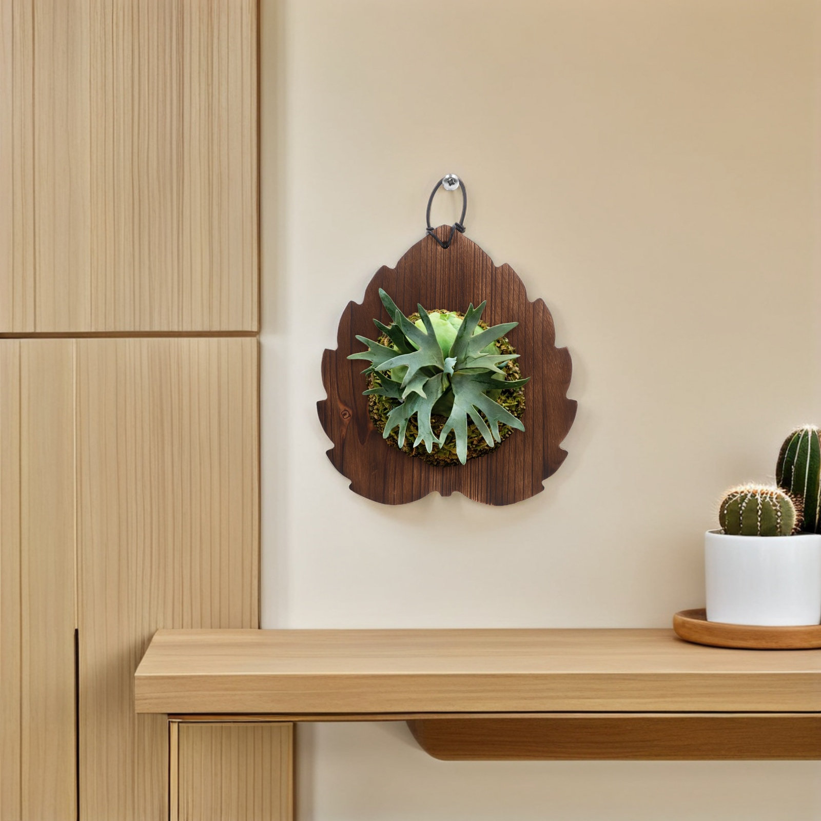 แผ่นไม้จริงสำหรับปลูกต้นไม้ติด - Vertical Planter บทวิจารณ์และราคา