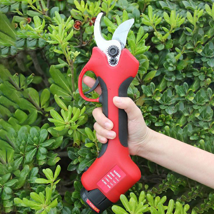 กรรไกรตัดกิ่งไร้สาย 25-40 มม.  - Pruning Shears บทวิจารณ์และราคา