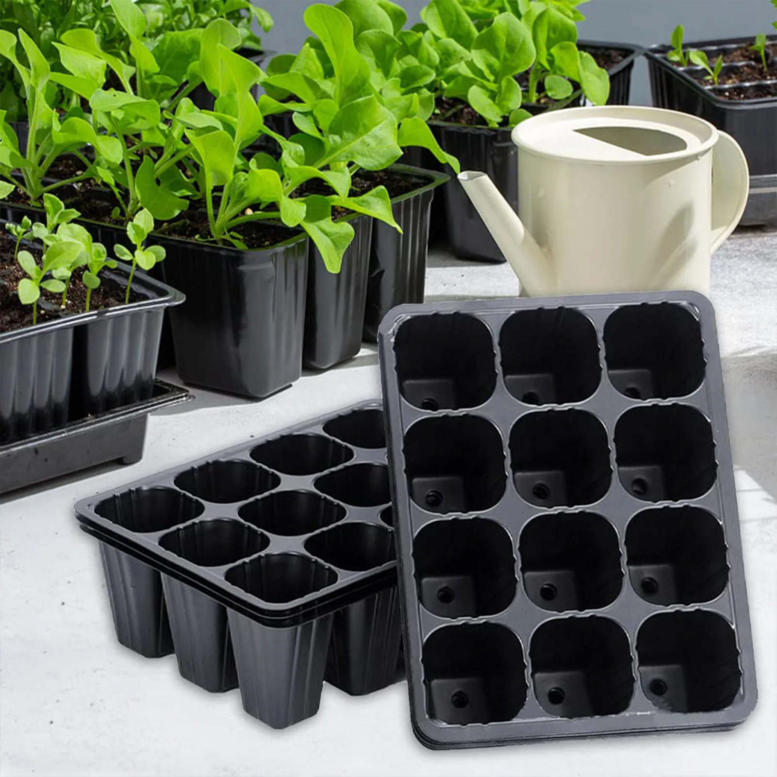 ถาดเพาะกล้าพลาสติกสีดำ 12 ช่อง - Seed Starter Tray บทวิจารณ์และราคา