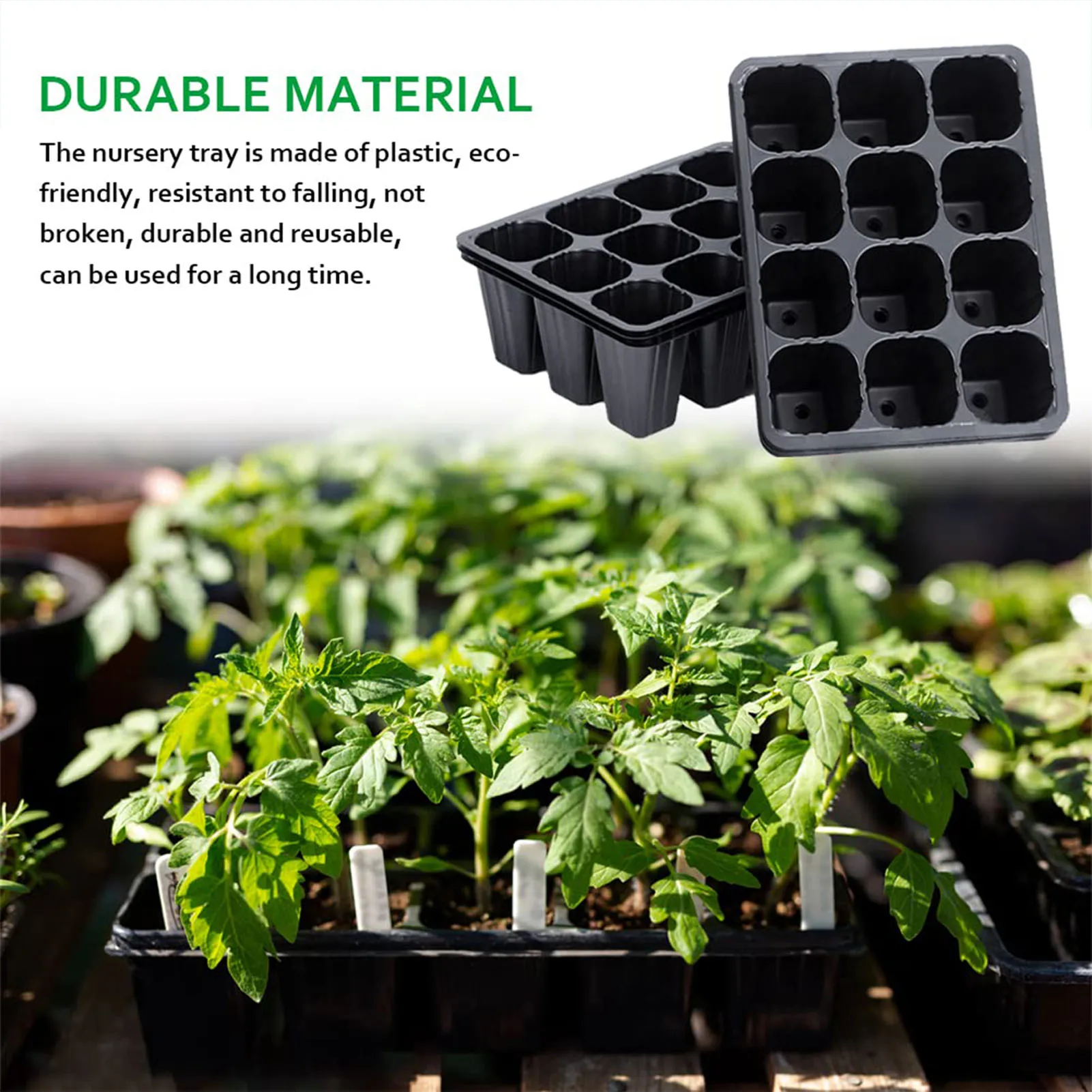 ถาดเพาะกล้าพลาสติกสีดำ 12 ช่อง - Seed Starter Tray บทวิจารณ์และราคา