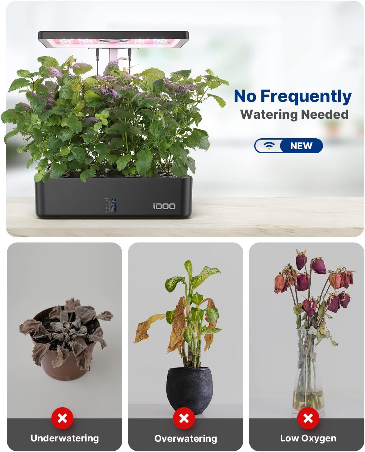 ระบบปลูกพืชไฮโดรโพนิกส์แบบ WiF - Hydroponic Kit บทวิจารณ์และราคา