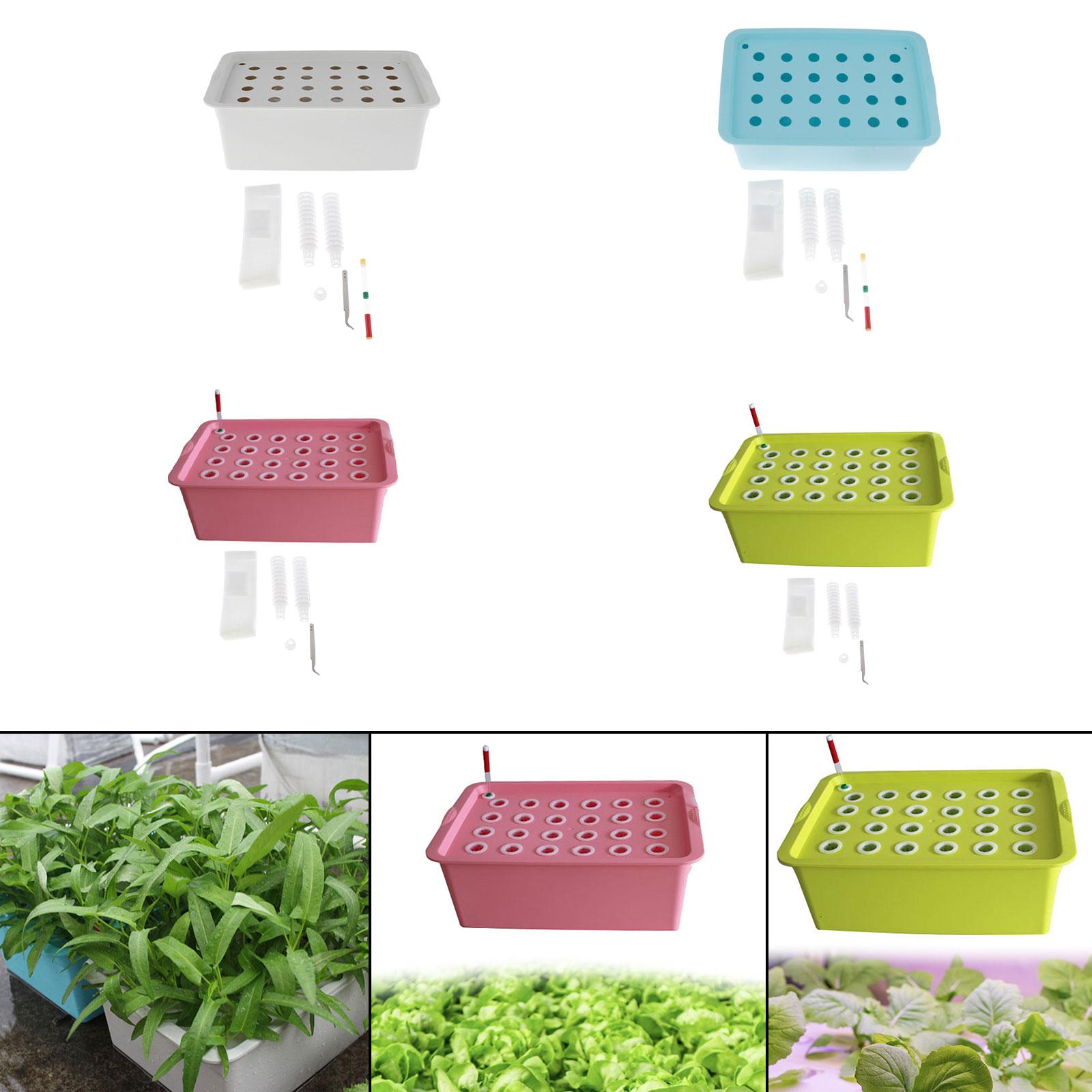 ระบบปลูกผักไฮโดรโปนิกส์แบบไร้ด - Hydroponic Kit บทวิจารณ์และราคา