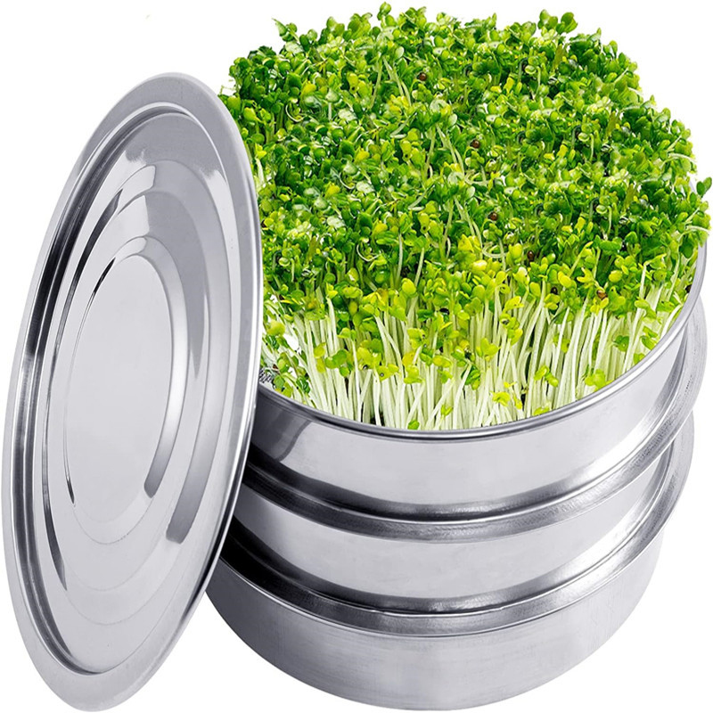 ชุดปลูกพืชแบบไฮโดรโปนิกส์ในร่ม - Hydroponic Kit บทวิจารณ์และราคา