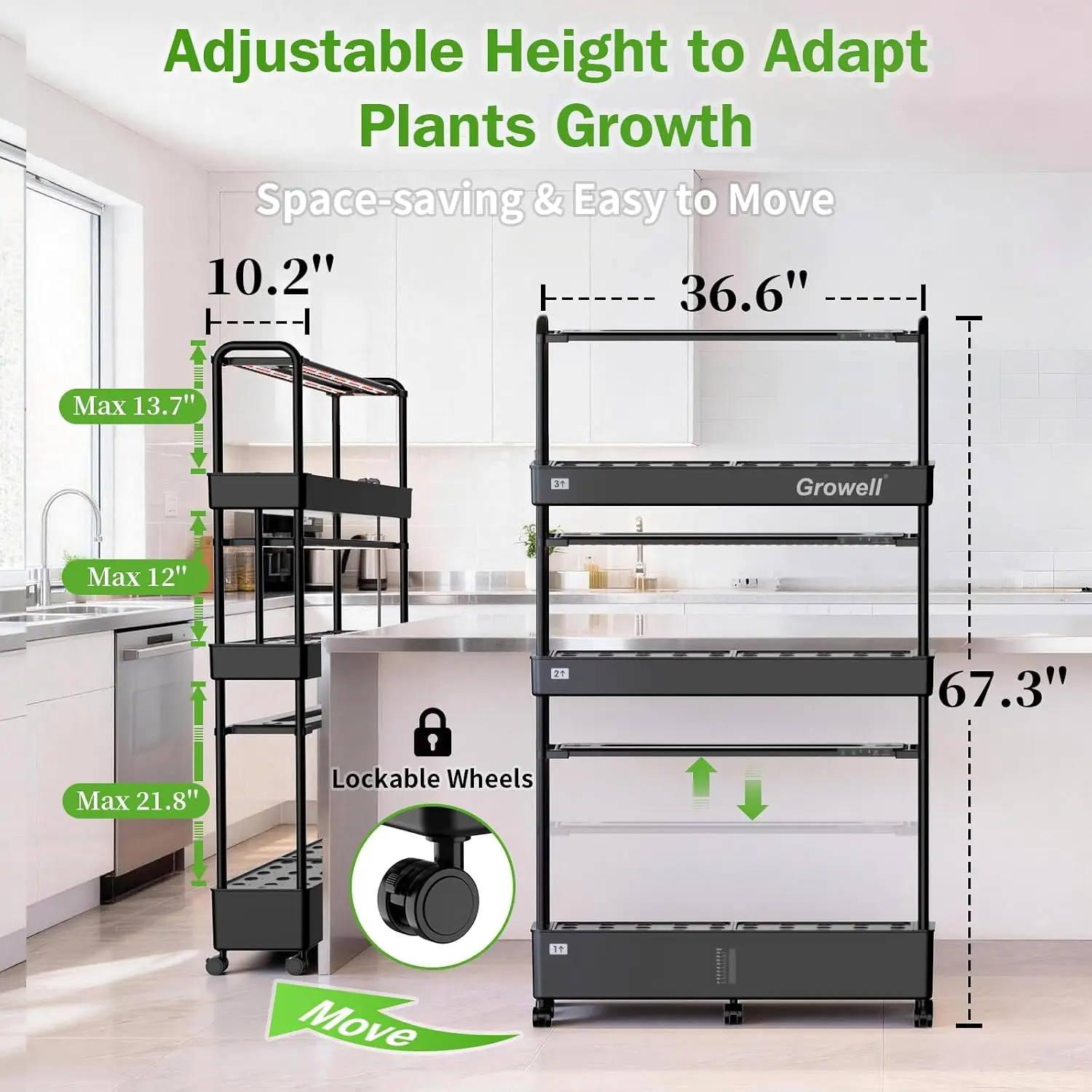 ชุดระบบปลูกพืชไฮโดรโปนิกส์ขนาด - Hydroponic Kit บทวิจารณ์และราคา