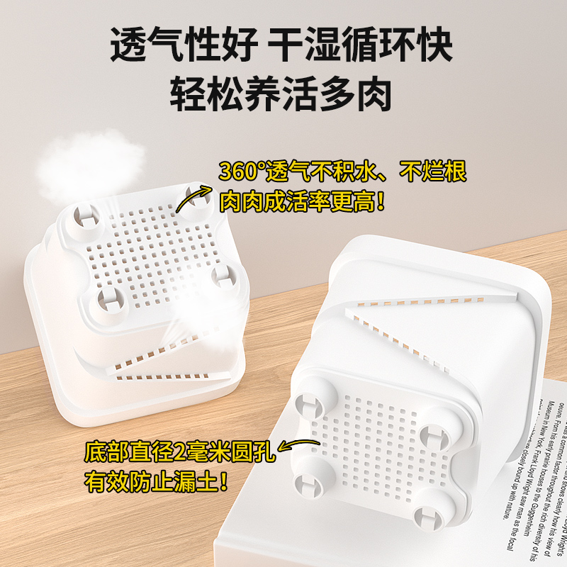 กระถางต้นไม้สไตล์นอร์ดิก: กระถ - Self Watering Planter บทวิจารณ์และราคา