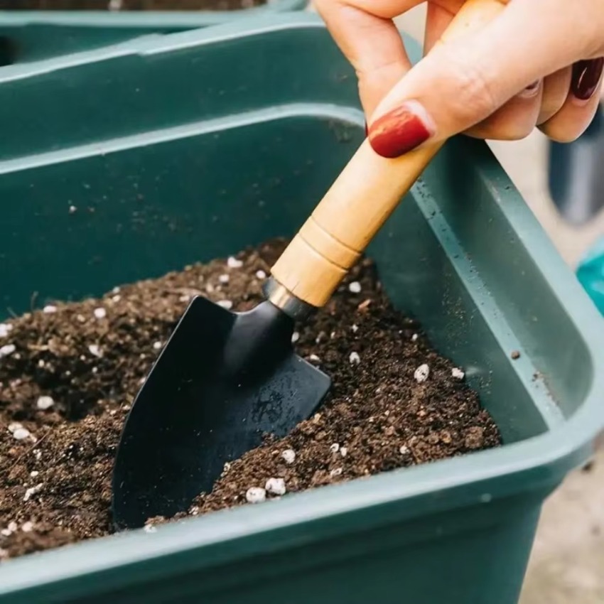 ชุดเครื่องมือทำสวนขนาดเล็ก 3 ช - Trowel Garden Tools บทวิจารณ์และราคา