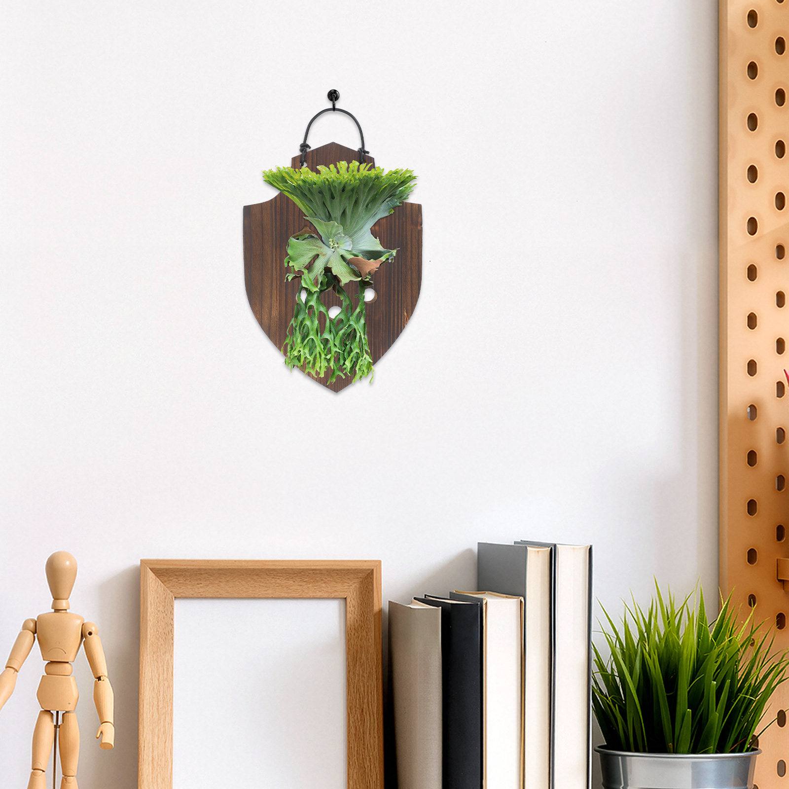 แผ่นไม้สำหรับติดตั้งต้นไม้ ทำจ - Vertical Planter บทวิจารณ์และราคา