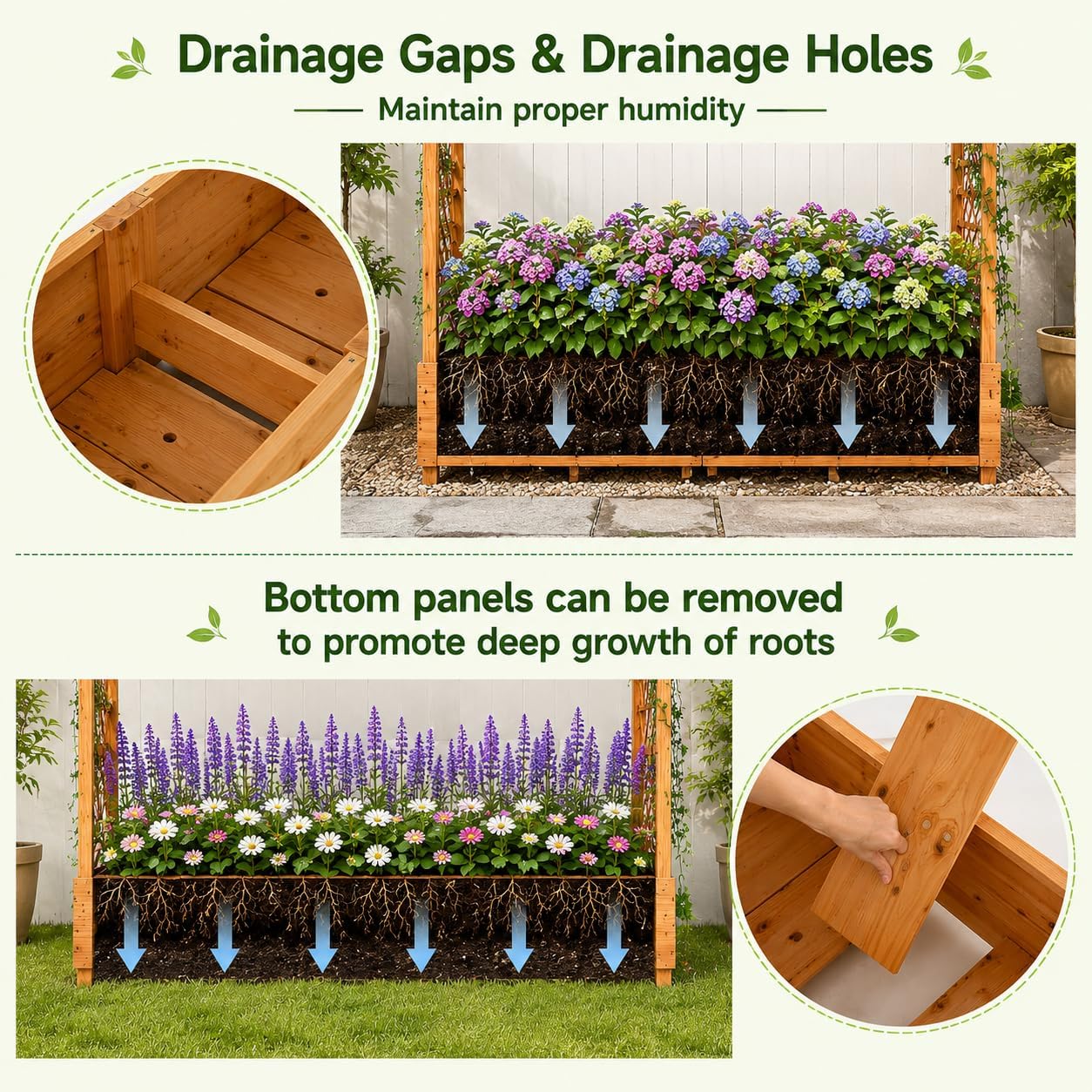แปลงปลูกผักยกพื้นพร้อมโครงไม้แ - Raised Garden Bed บทวิจารณ์และราคา