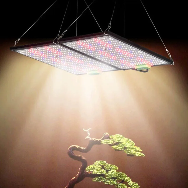 ไฟปลูกต้นไม้ LED แบบควอนตัมบอร - Grow Light Led บทวิจารณ์และราคา